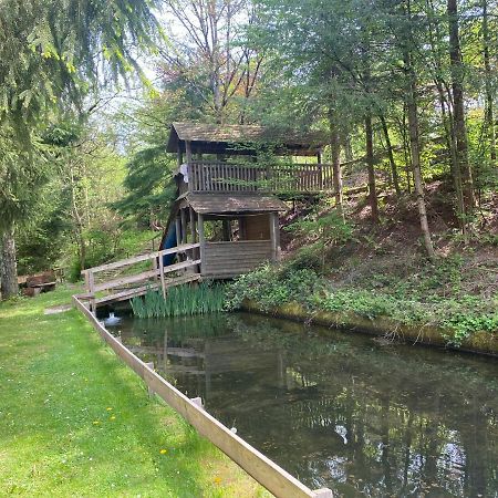 Hotel-Restaurant Theis-Muehle Biersdorf Extérieur photo