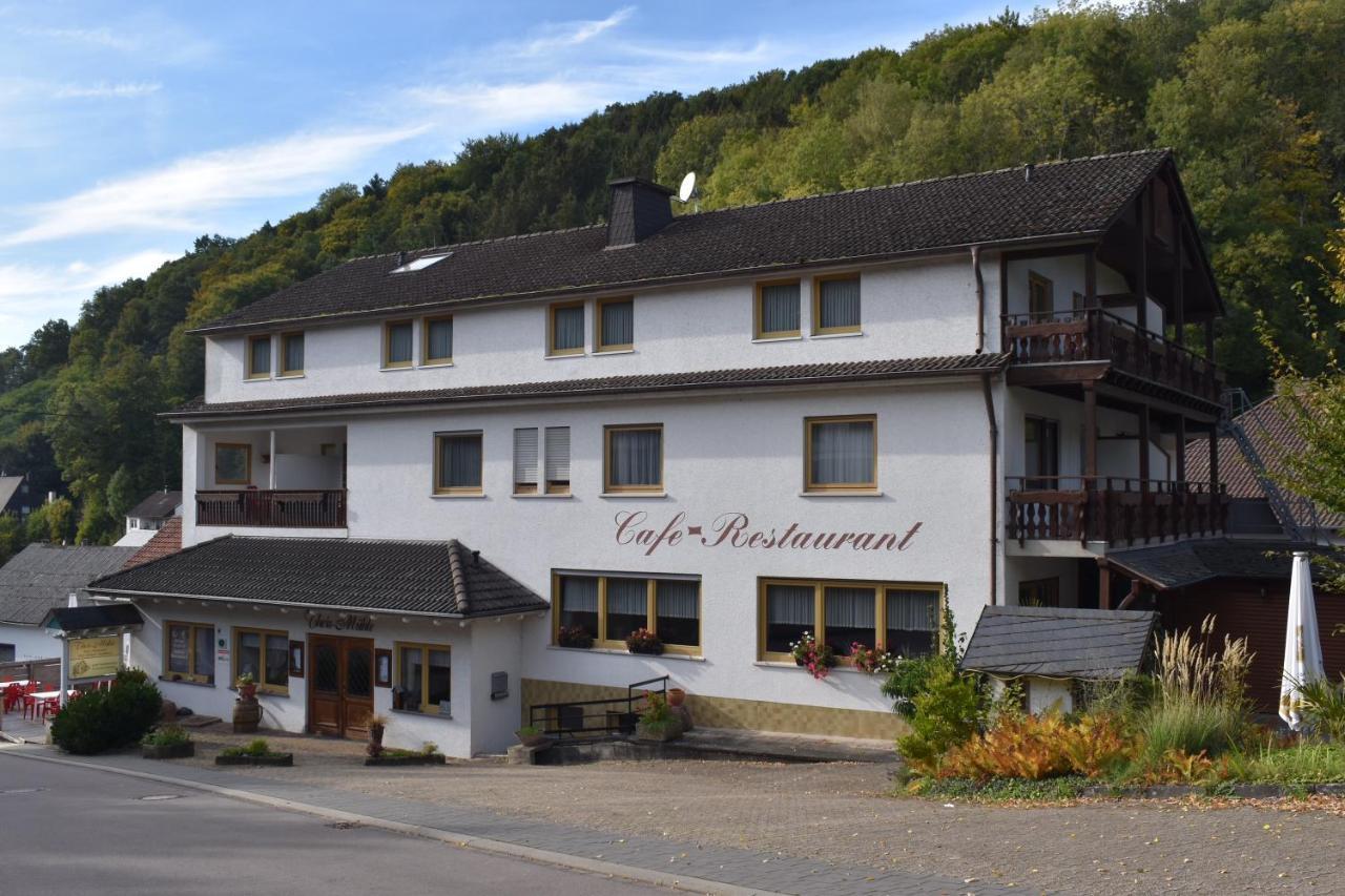 Hotel-Restaurant Theis-Muehle Biersdorf Extérieur photo